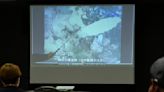 New images from inside Fukushima reactor spark safety worry