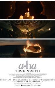 a-ha: True North