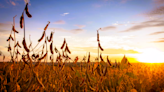 Spring planting is underway in Illinois but behind schedule