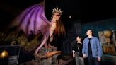 A Harry Potter exhibition is coming to the Boston area this fall