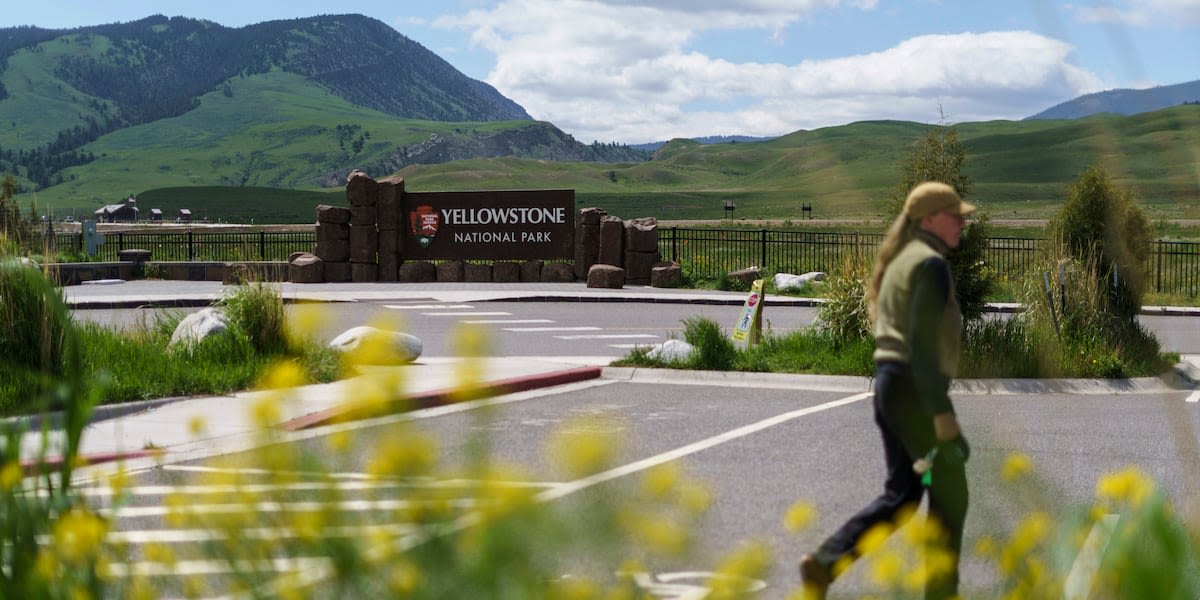 Man arrested for kicking a bison in Yellowstone, park rangers say