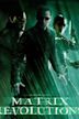 Matrix Revolutions