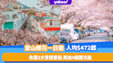 韓國櫻花2023｜釜山櫻花一日遊人均低至$472！去盡3大賞櫻景點Moontan Road／三益海灘鎮／溫泉川