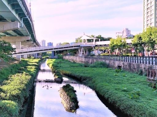 板橋湳仔溝生態整治 營造賞蝶騎車新亮點 | 蕃新聞