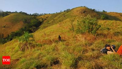 After brief ban, Karnataka launch portal to facilitate trekking expeditions in forests | Bengaluru News - Times of India