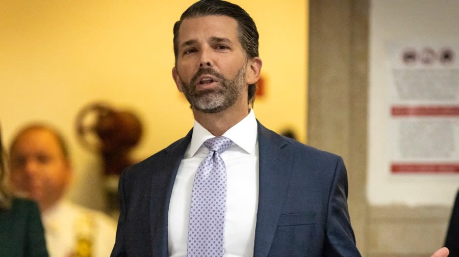 Donald Trump Jr. hits ‘border czar’ Harris in new Fox News op-ed