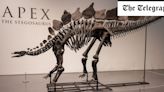 The ultra-rich are buying up dinosaur bones – and ruining it for scientists