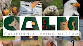 California Living Museum to celebrate 41st birthday