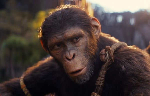 ‘Kingdom Of The Planet Of The Apes’ Star On Meaning Of Telescope Scenes