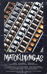 Matokuningas