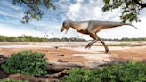 Rare “Teen” T. Rex Fossil Discovered By Three Kids Hiking In North Dakota