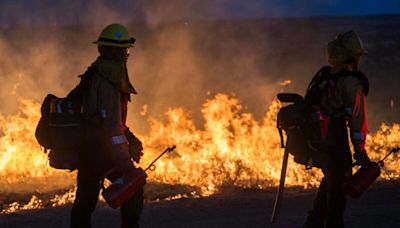 Humans are to blame for 95% of California’s wildfires. Here’s why