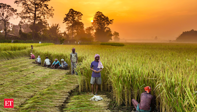 Budget 2024: Banks seek hike in interest subvention on farm loans - The Economic Times