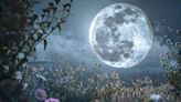 Luna de flores, en mayo: 3 rituales para atraer y aprovechar toda su energía positiva