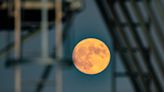 Brilliant Harvest Moon, the last supermoon of 2023, wows stargazers around the world (photos)