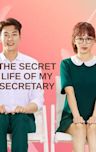 The Secret Life of My Secretary