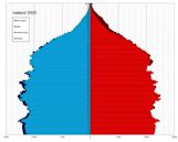 Demographics of Iceland