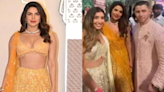 Influencer Julia Chafe Apologises For Interrupting Priyanka Chopra At Anant-Radhika Wedding Mid-Conversation