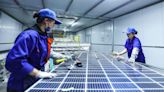 Major US solar manufacturers call for strict new solar-panel tariffs