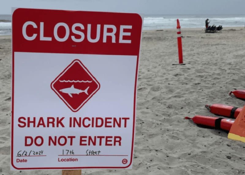 Del Mar, California beaches closed following shark attack