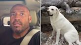 Man Discovers He's in the Wrong Car When He Finds Stranger's Dog in the Back Seat: Watch