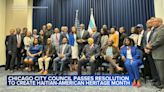 Chicago City Council passes Haitian-American Heritage Month resolution