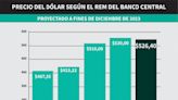 Dólar e inflación después de las elecciones: el fuerte salto que ya anticipan 40 consultoras