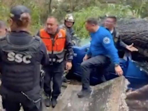 FOTOS: Esposo de mujer que murió aplastada por árbol en la Nápoles, bajó antes del auto