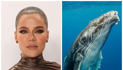 Khloe Kardashian suspects her children are using whale drawings to make fun of her