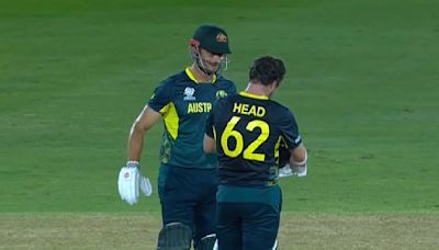 AUS vs SCOT, T20 WC 2024: Travis Head, Marcus Stoinis' Fifties Guide Australia To 5-Wicket Win Over Scotland...