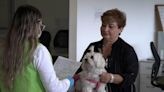 Nuevos requisitos que Estados Unidos puso a colombianos que quieran viajar con su perro