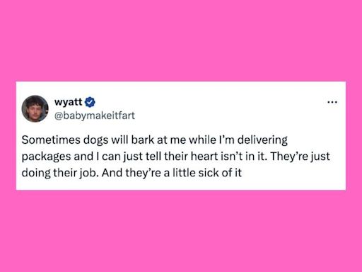 27 Of The Funniest Tweets About Cats And Dogs This Week (May 25-31)