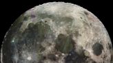 Nasa demands return of Moon dust and cockroaches