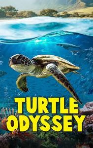 Turtle Odyssey