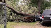 Mother of 4, including newborn, killed by tree in Houston's East End; at least 3 others died during storms