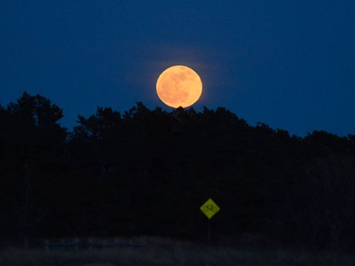 When is the next full moon? What is the Flower Moon? What to know about May's full moon