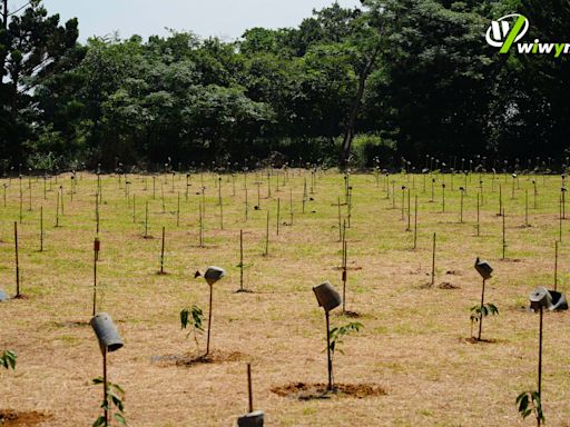 緯穎新植造林來了 獲中興大學支援、「碳權申請」有望