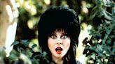 Cassandra Peterson on Queering the Iconic Legacy of Elvira