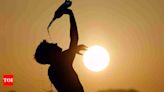 Heatwave fatalities rise in US: Hiker dies from heat and dehydration in Utah - Times of India