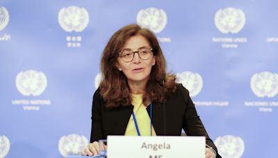 La ONU insta a reforzar la persecución penal de los delitos medioambientales