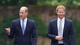 Prince Harry and Prince William's Rivalry 'Brings on Negative Consequences for Prince Archie and Princess Lilibet'