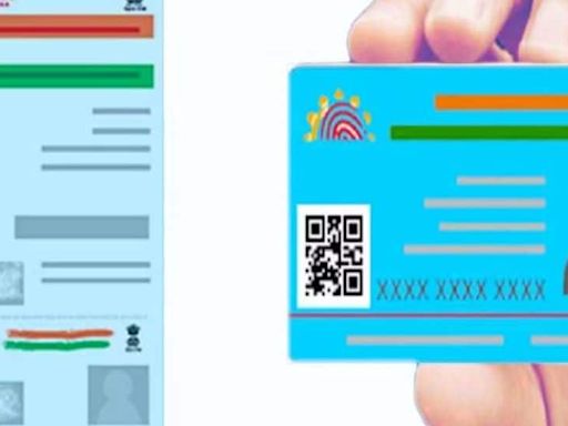 What Is Blue Aadhaar Card? Find Out How To Apply & More Details