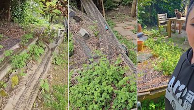 Homeowner finds huge abandoned model railway in back garden