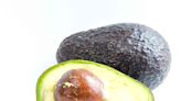 Can You Eat Avocado Pits?