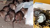 PETA calls out NYC mayor for 'villainizing rats'