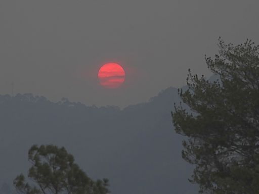 Los incendios forestales en Honduras dejan más de 208.000 hectáreas de bosque afectadas