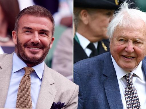 Sir David Attenborough, 98, beams alongside David Beckham at Wimbledon