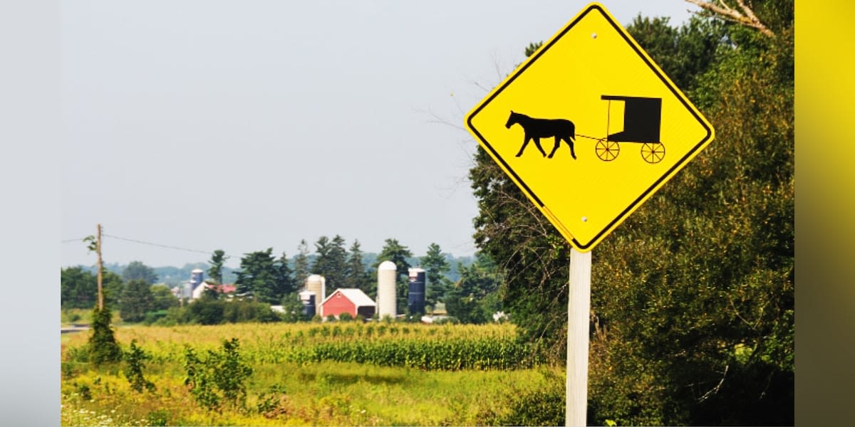 9-year-old Amish girl dies after being dragged by horse she was training, reports say