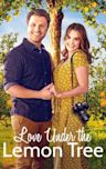 Love Under the Lemon Tree