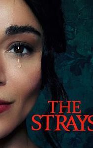 The Strays (film)